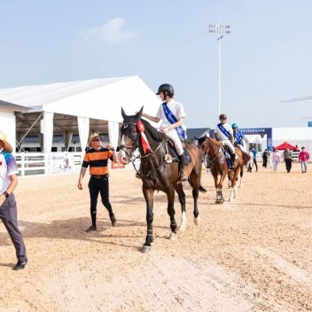 Changzhou's First Equestrian Carnival: Two High-Level Equestrian Events Debut During National Day